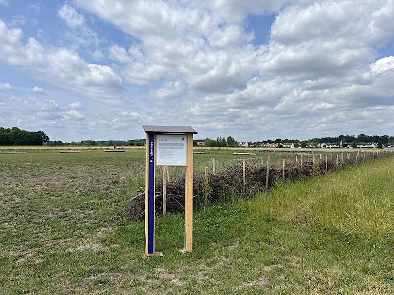 Die Hundewiese am Laurenzerweg.